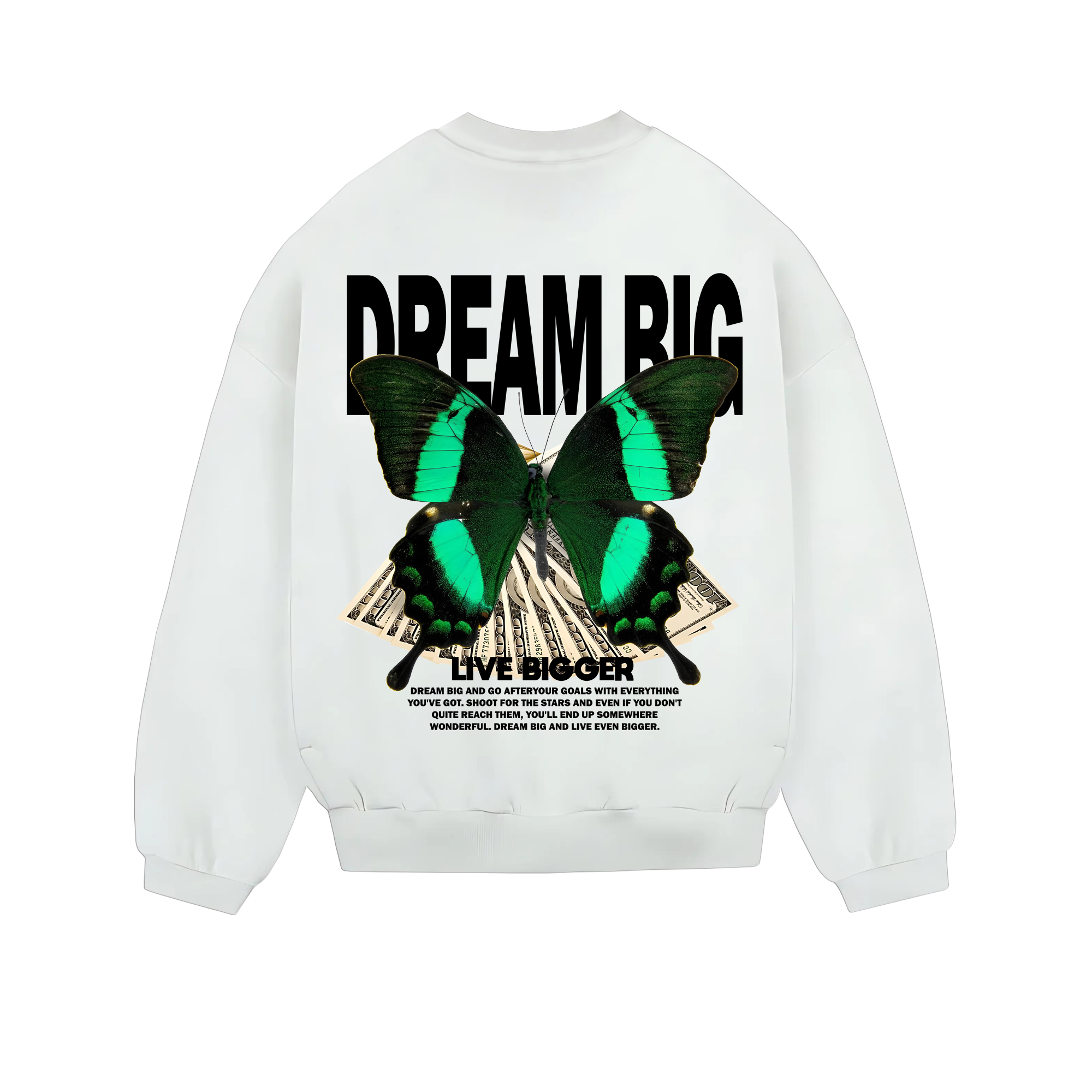 BIG DREAM Sweatshirt