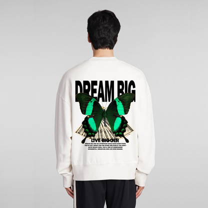 BIG DREAM Sweatshirt